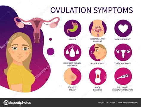 sinais de ovulação